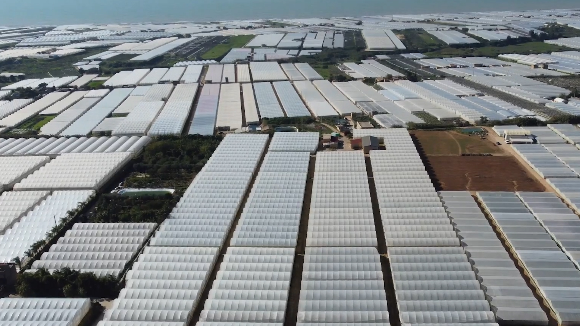 serre sicile plastic sea